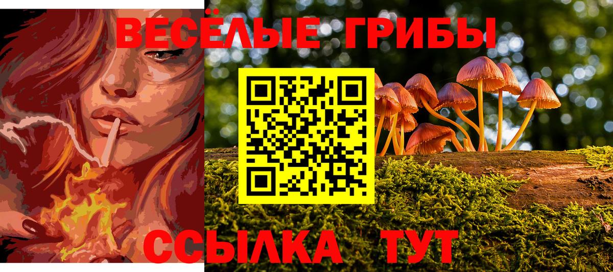 Псилоцибиновые грибы мицелий  Вход с VPN  Баксан 