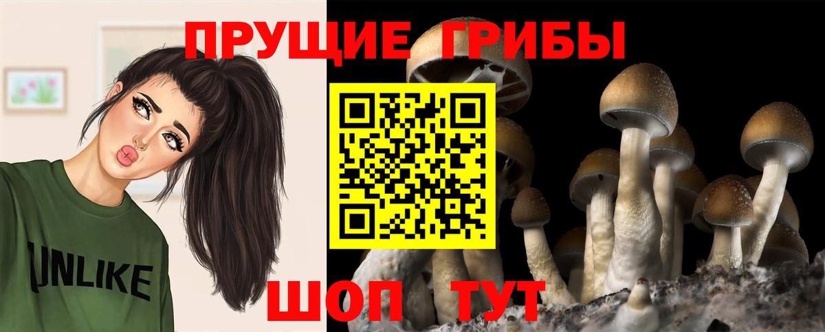 Галлюциногенные грибы мухоморы Баксан
